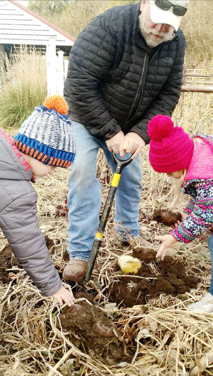 Maverick Jonas and Hadley Linn help pick up the potatoes that Kent Bearnes is digging up.